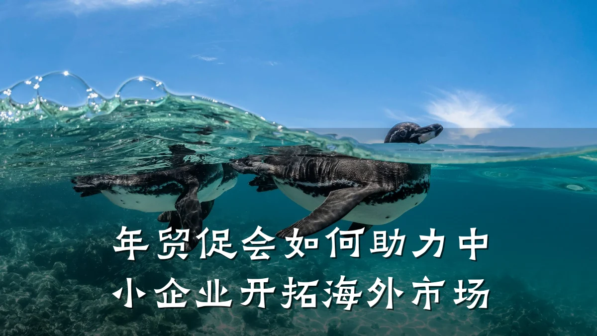 年贸促会如何助力中小企业开拓海外市场
