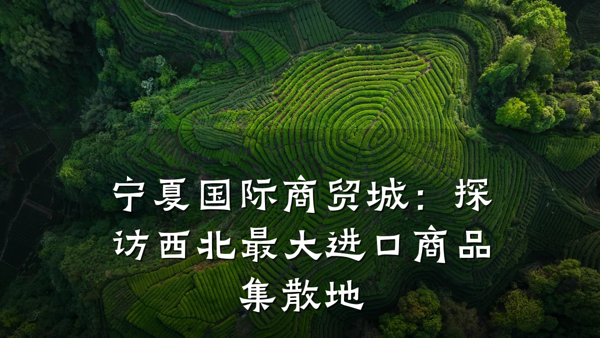 宁夏国际商贸城:探访西北最大进口商品集散地