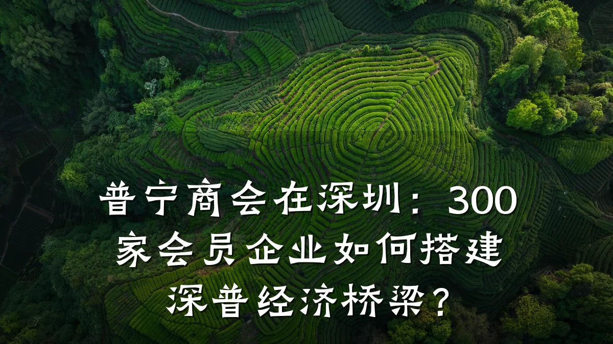 普宁商会在深圳:300家会员企业如何搭建深普经济桥梁?