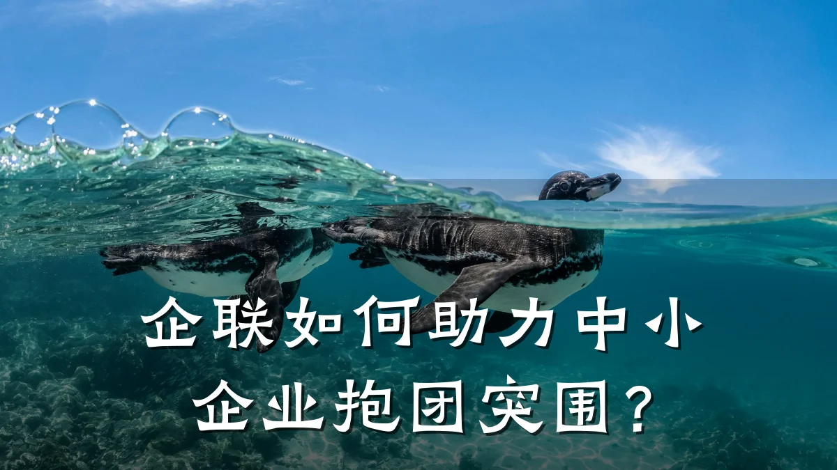 企联如何助力中小企业抱团突围?