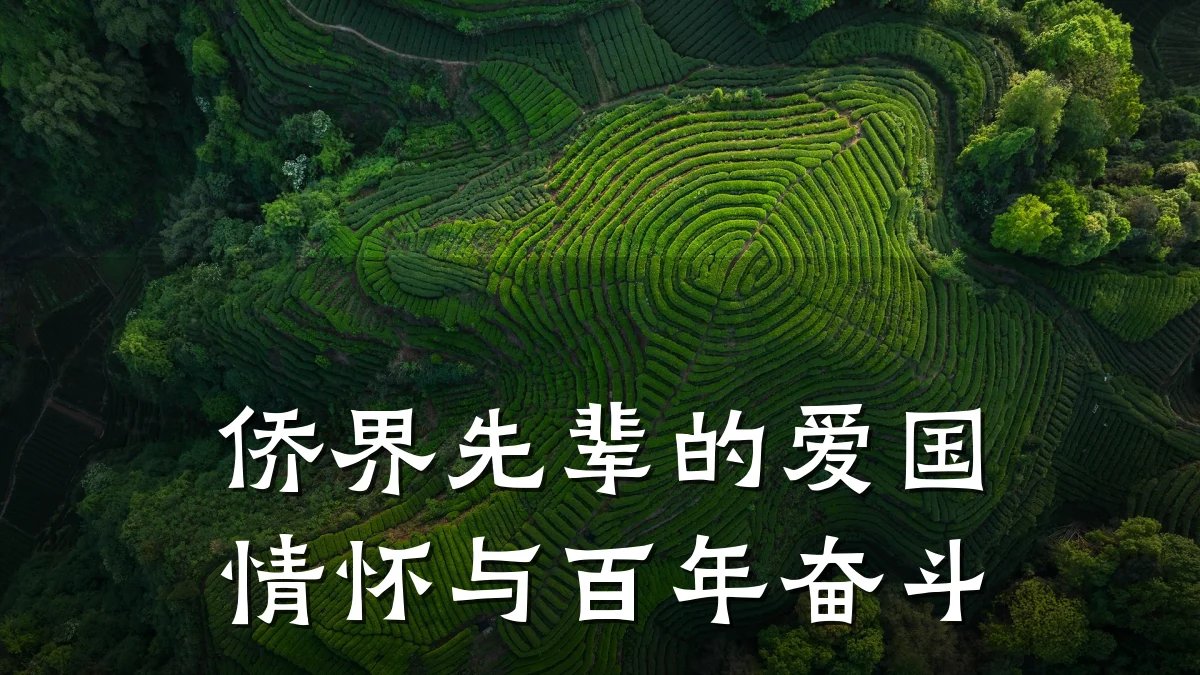 侨界先辈的爱国情怀与百年奋斗