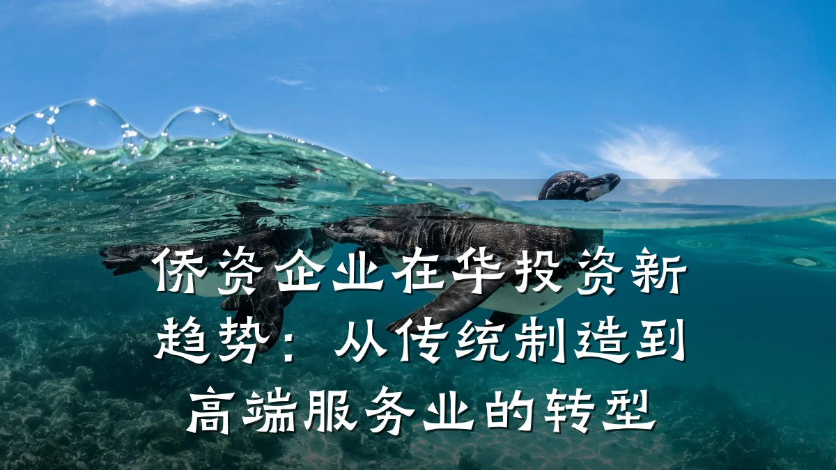 侨资企业在华投资新趋势:从传统制造到高端服务业的转型