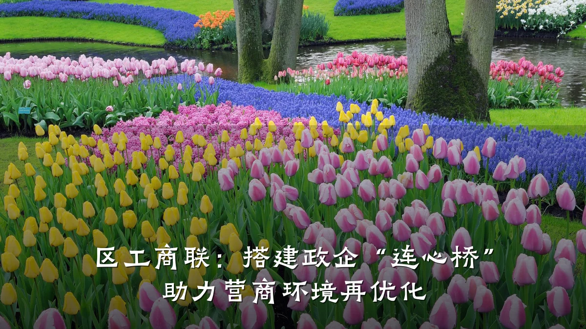 区工商联:搭建政企“连心桥” 助力营商环境再优化