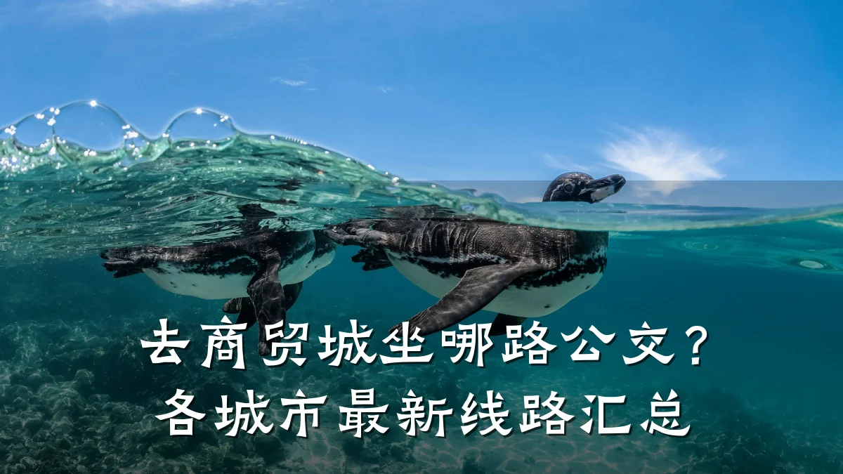 去商贸城坐哪路公交？各城市最新线路汇总