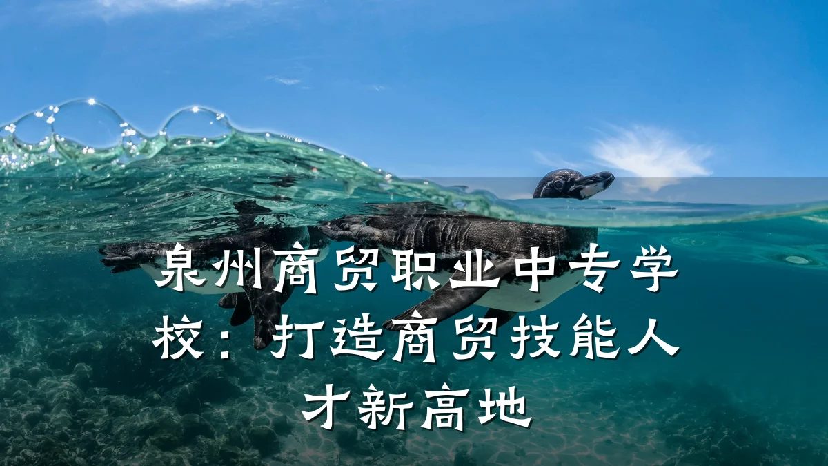 泉州商贸职业中专学校:打造商贸技能人才新高地