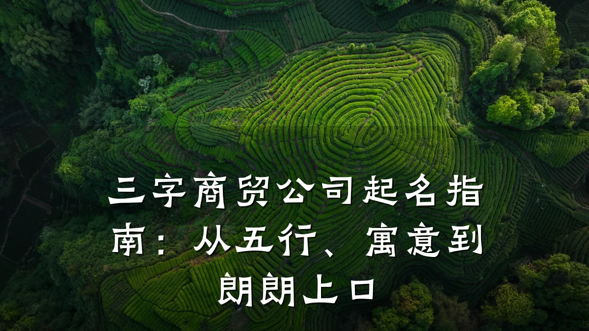 三字商贸公司起名指南:从五行、寓意到朗朗上口