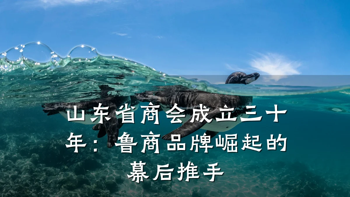 山东省商会成立三十年:鲁商品牌崛起的幕后推手