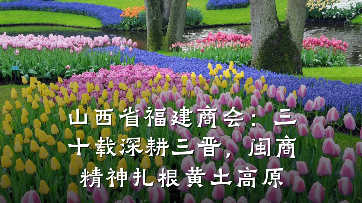 山西省福建商会:三十载深耕三晋,闽商精神扎根黄土高原