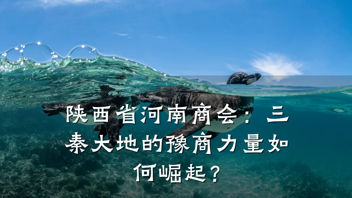 陕西省河南商会:三秦大地的豫商力量如何崛起?