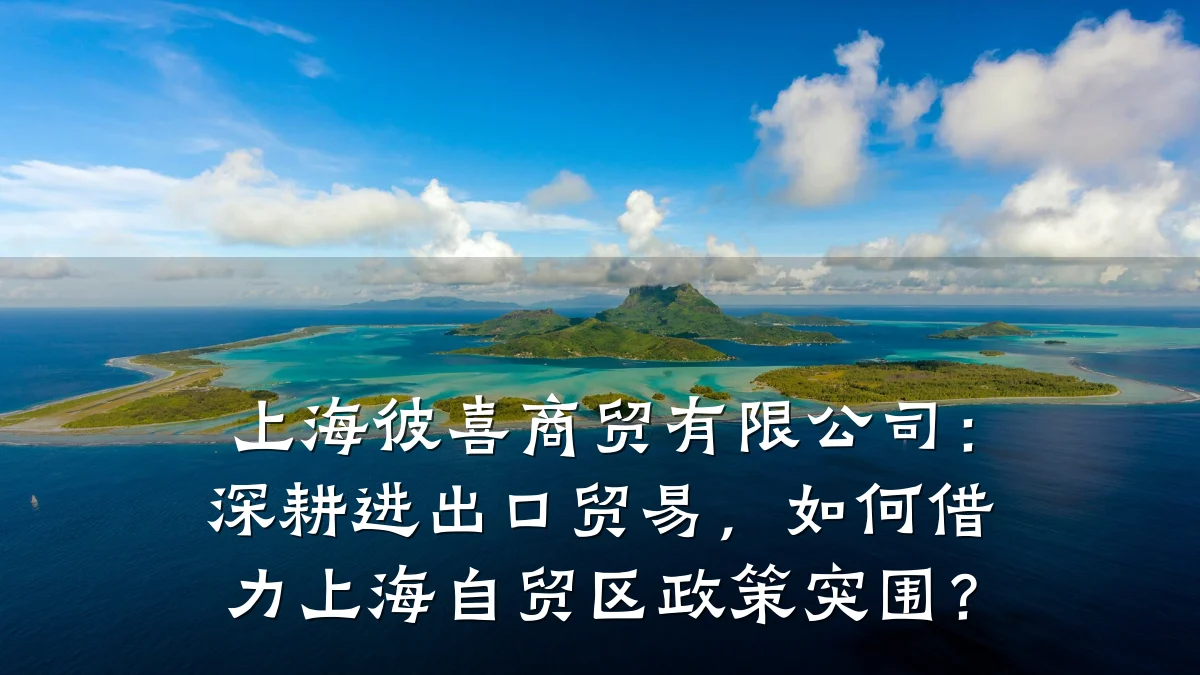 上海彼喜商贸有限公司:深耕进出口贸易,如何借力上海自贸区政策突围?