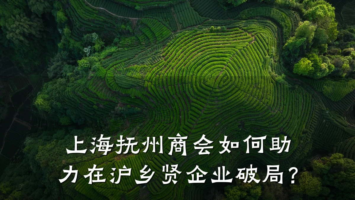 上海抚州商会如何助力在沪乡贤企业破局?