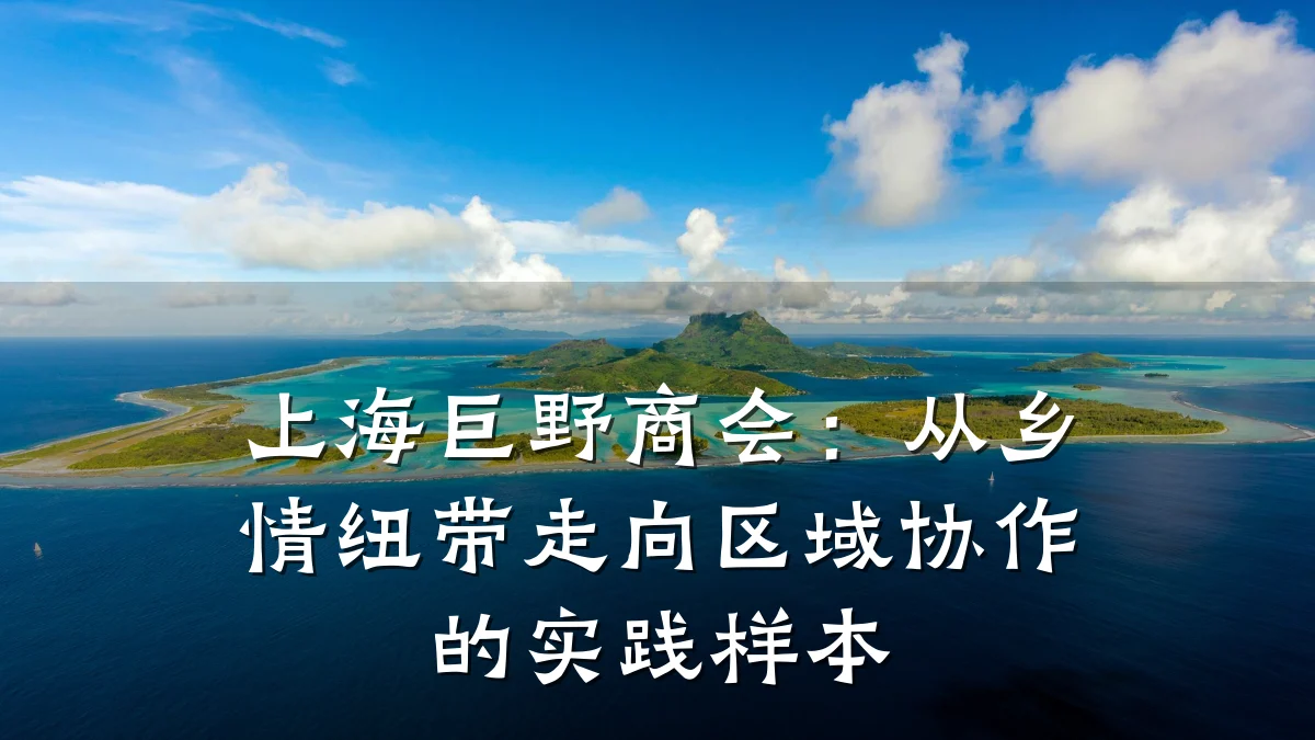 上海巨野商会:从乡情纽带走向区域协作的实践样本