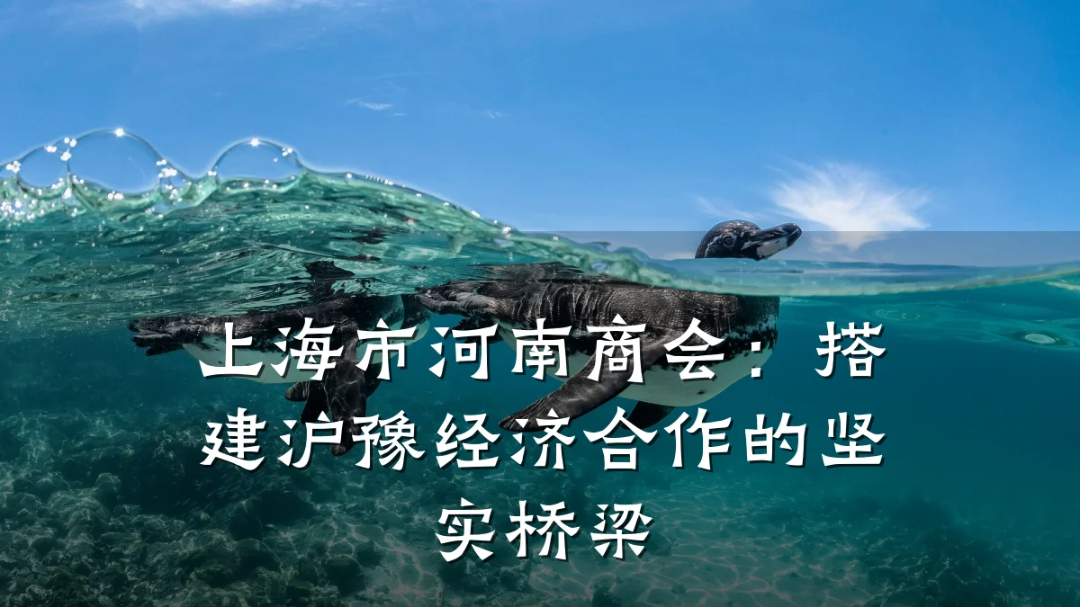 上海市河南商会:搭建沪豫经济合作的坚实桥梁