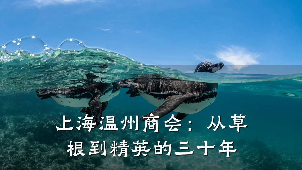 上海温州商会：从草根到精英的三十年