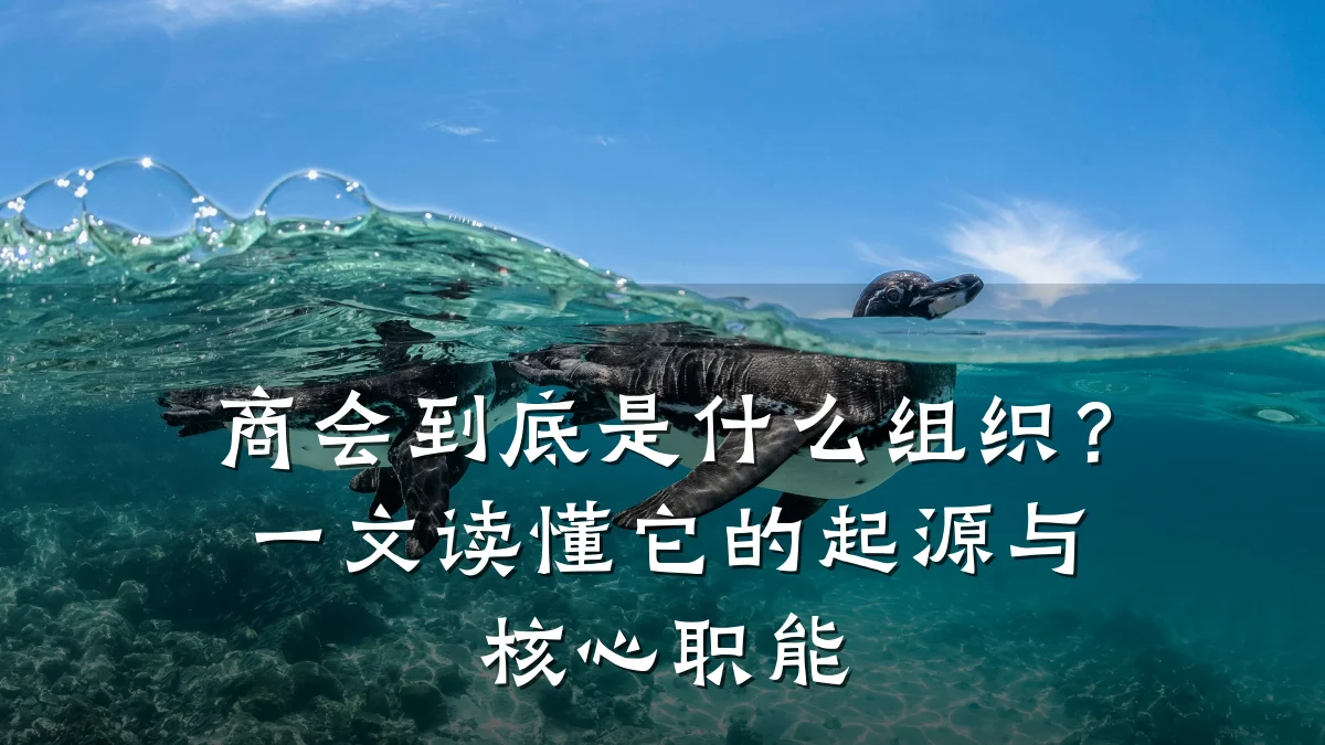 商会到底是什么组织？一文读懂它的起源与核心职能