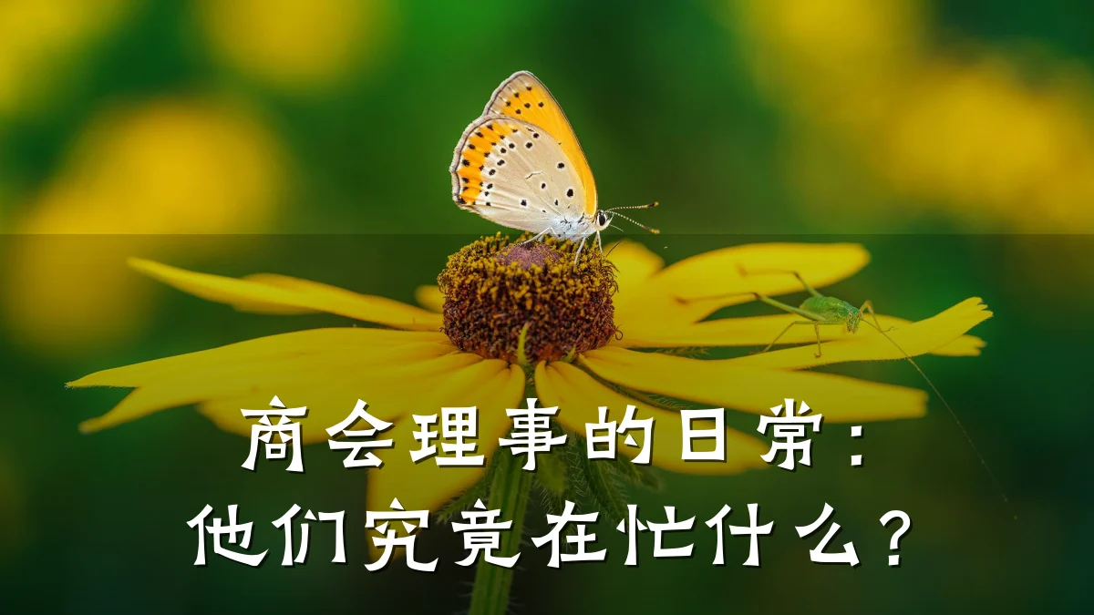 商会理事的日常:他们究竟在忙什么?