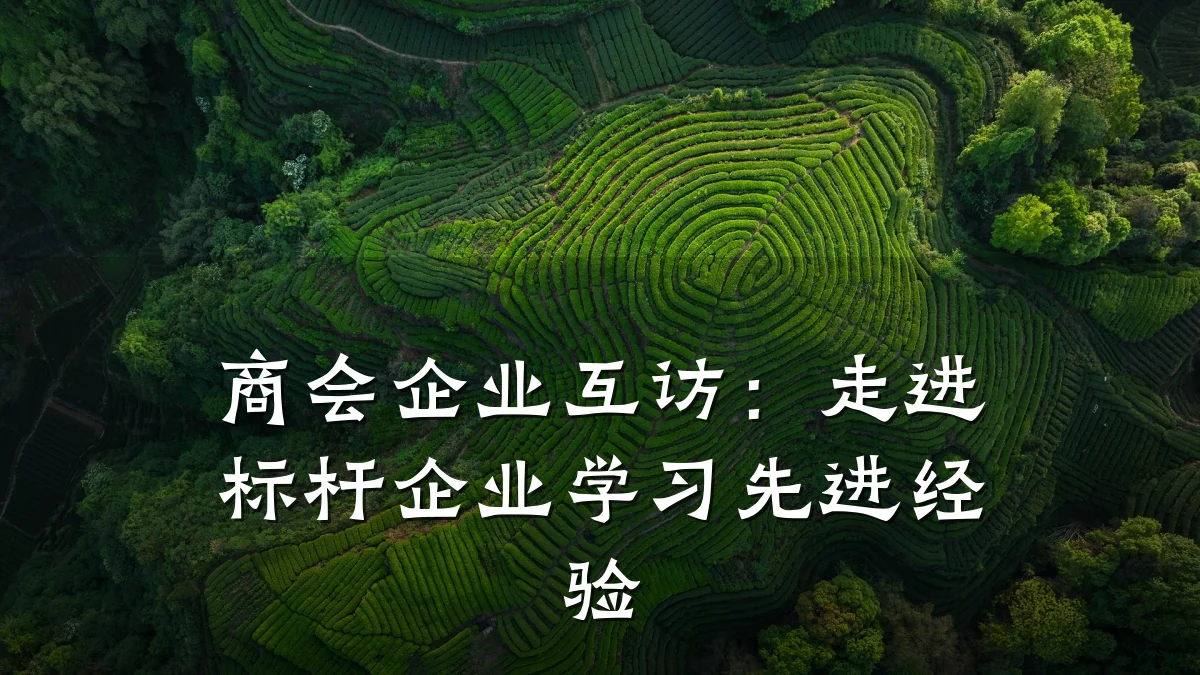 商会企业互访：走进标杆企业学习先进经验