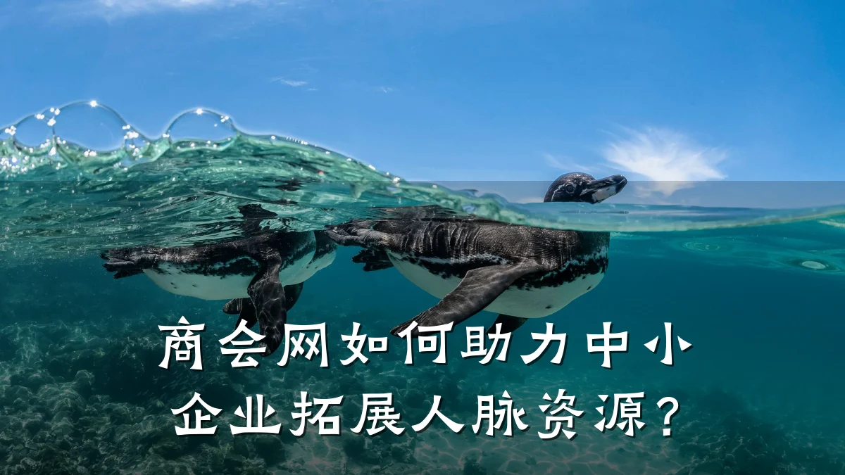 商会网如何助力中小企业拓展人脉资源?