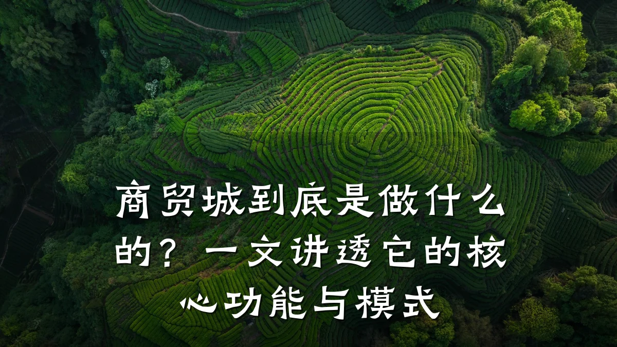 商贸城到底是做什么的?一文讲透它的核心功能与模式