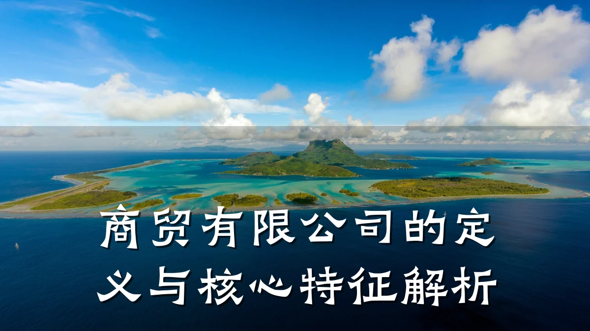 商贸有限公司的定义与核心特征解析