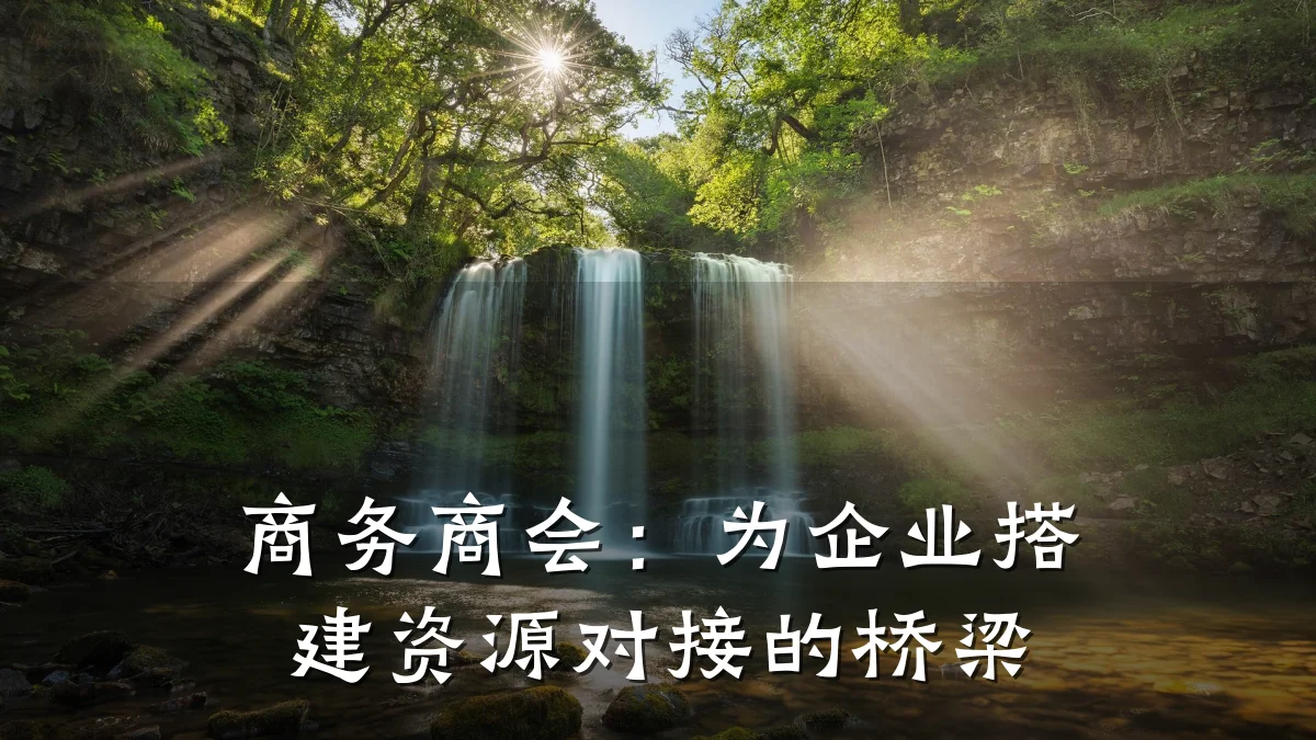 商务商会:为企业搭建资源对接的桥梁