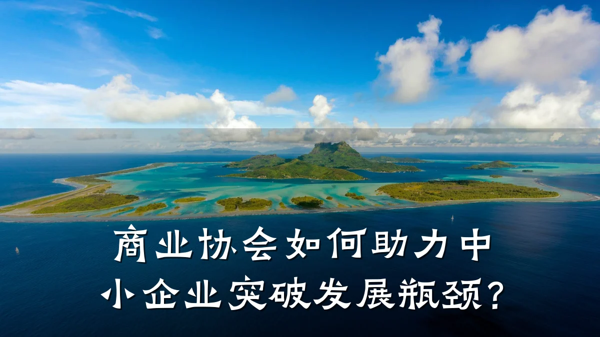 商业协会如何助力中小企业突破发展瓶颈？