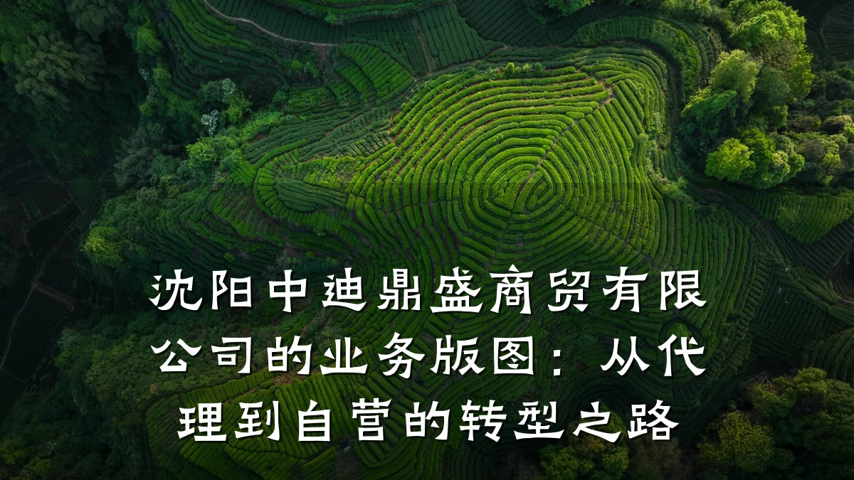 沈阳中迪鼎盛商贸有限公司的业务版图:从代理到自营的转型之路