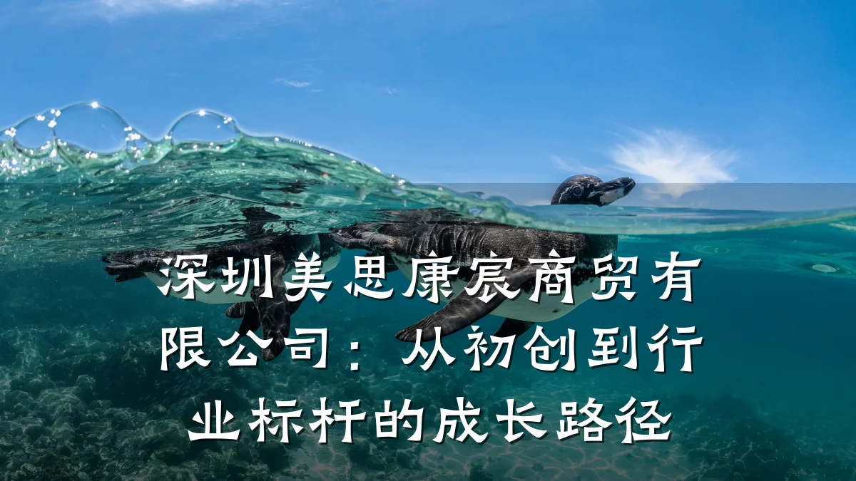 深圳美思康宸商贸有限公司:从初创到行业标杆的成长路径