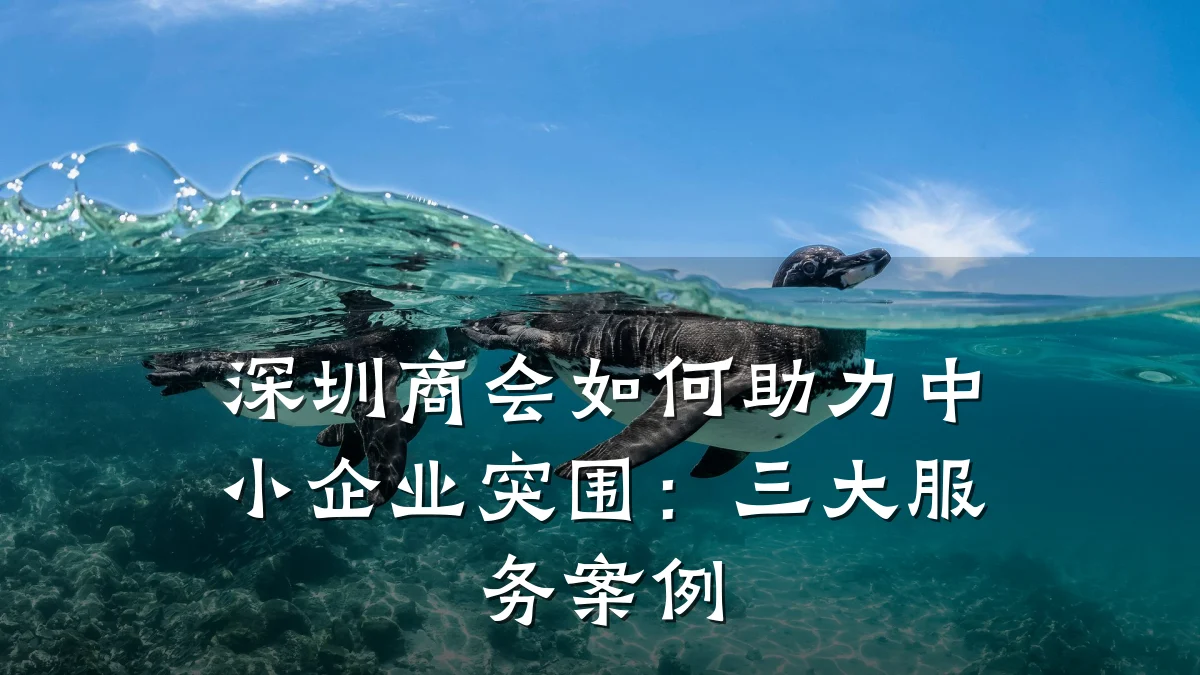 深圳商会如何助力中小企业突围：三大服务案例