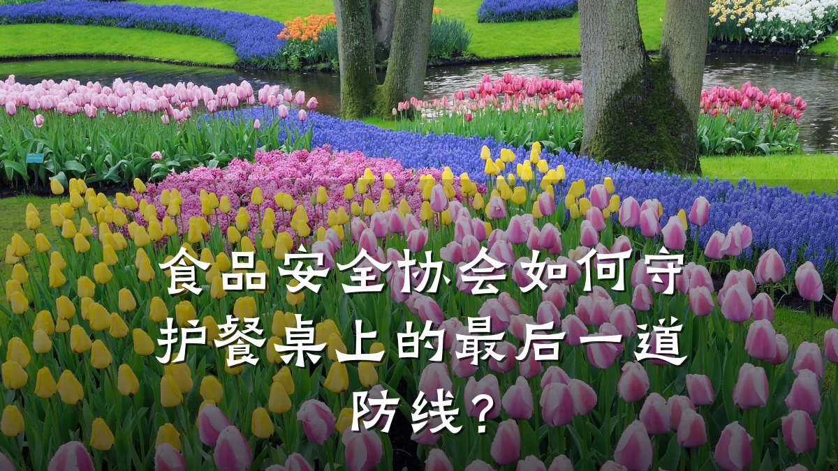 食品安全协会如何守护餐桌上的最后一道防线?