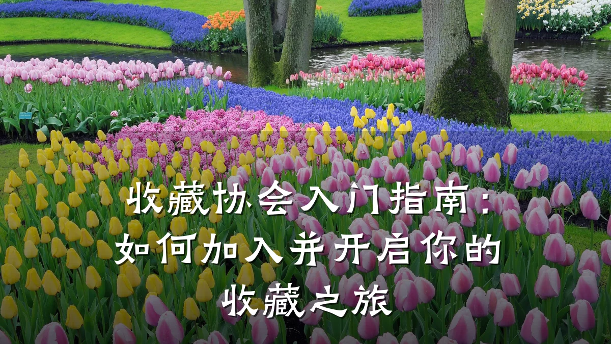 收藏协会入门指南:如何加入并开启你的收藏之旅