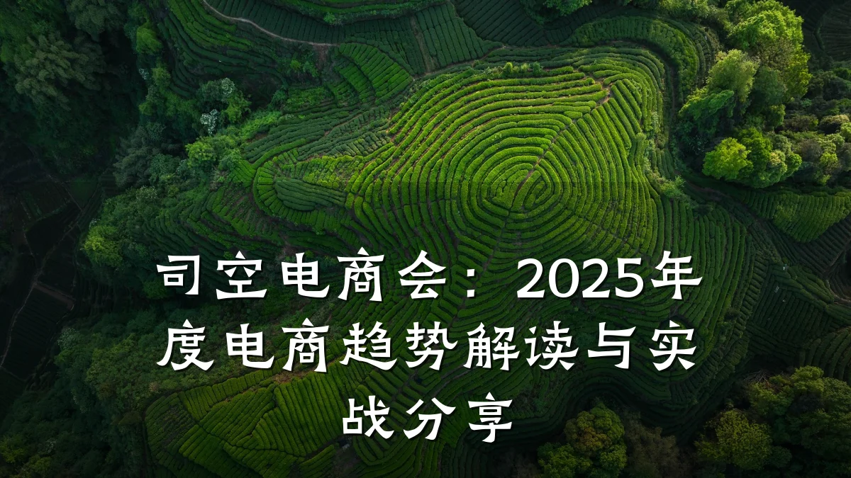 司空电商会:2025年度电商趋势解读与实战分享