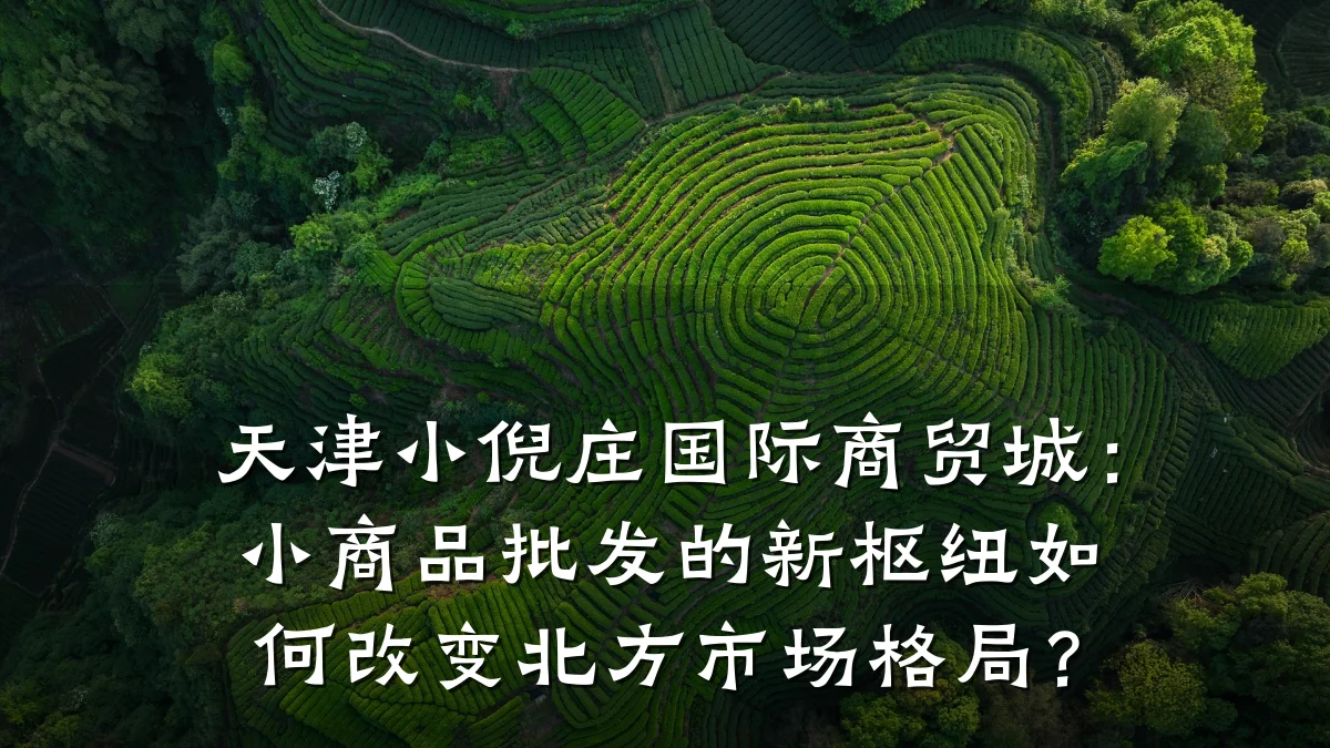 天津小倪庄国际商贸城:小商品批发的新枢纽如何改变北方市场格局?