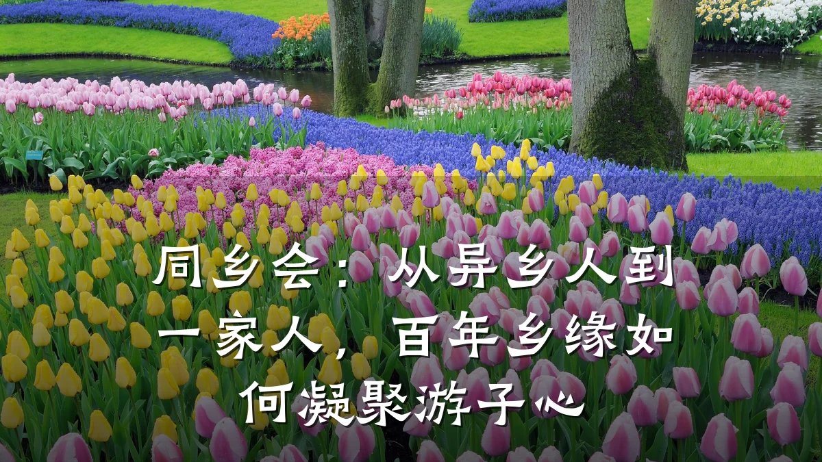 同乡会:从异乡人到一家人,百年乡缘如何凝聚游子心