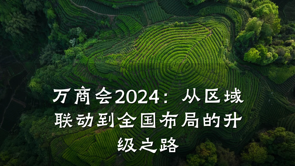 万商会2024:从区域联动到全国布局的升级之路