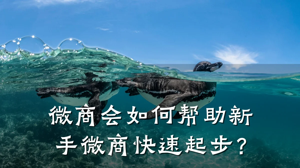 微商会如何帮助新手微商快速起步?