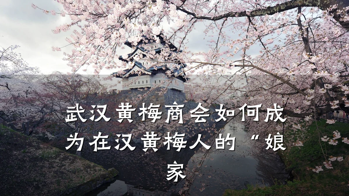 武汉黄梅商会如何成为在汉黄梅人的“娘家