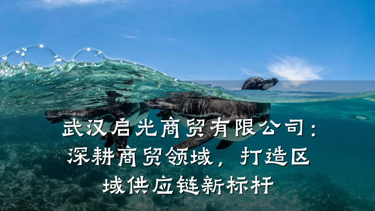 武汉启光商贸有限公司:深耕商贸领域,打造区域供应链新标杆
