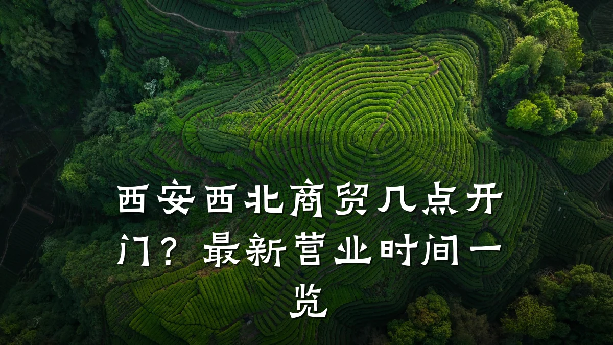 西安西北商贸几点开门?最新营业时间一览