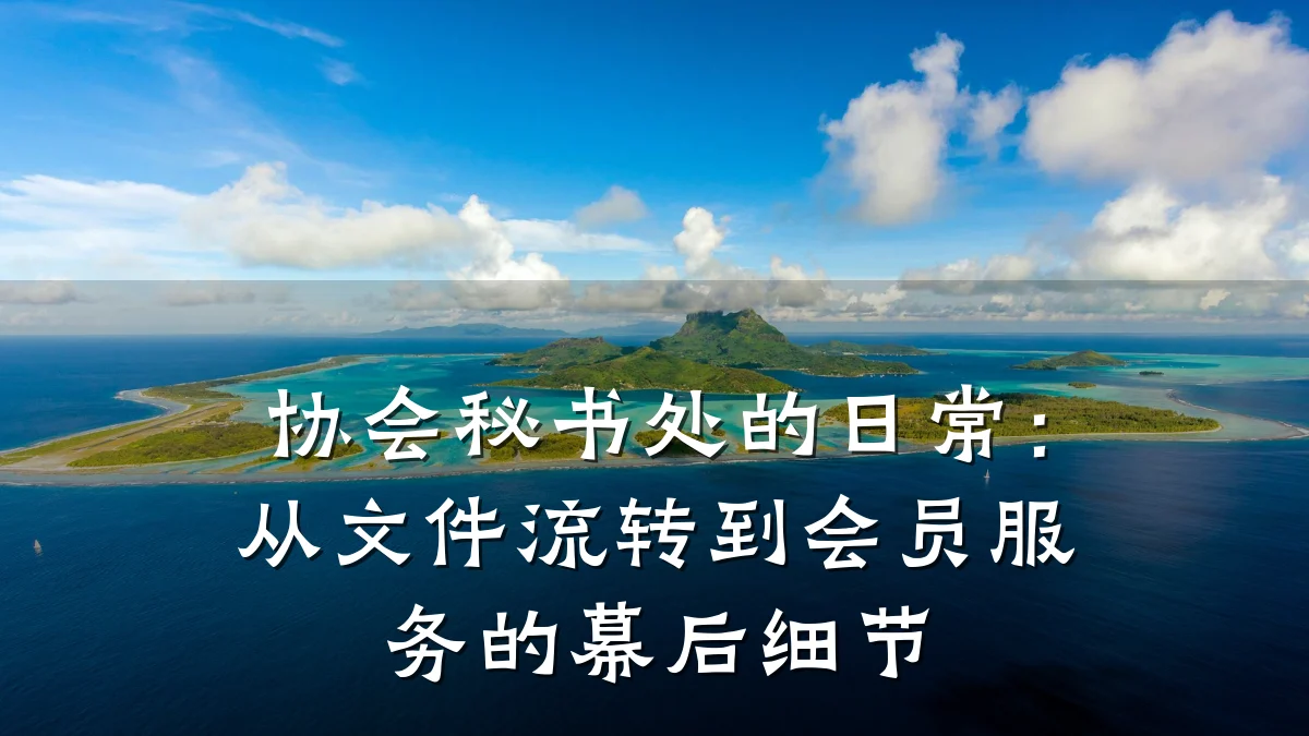 协会秘书处的日常:从文件流转到会员服务的幕后细节