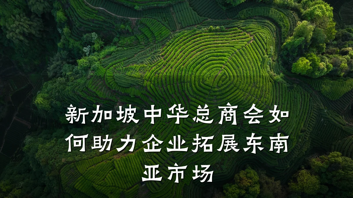 新加坡中华总商会如何助力企业拓展东南亚市场