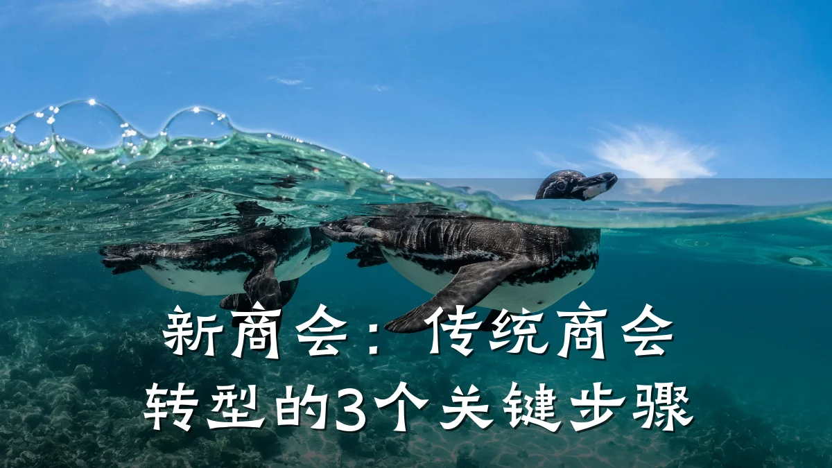 新商会:传统商会转型的3个关键步骤