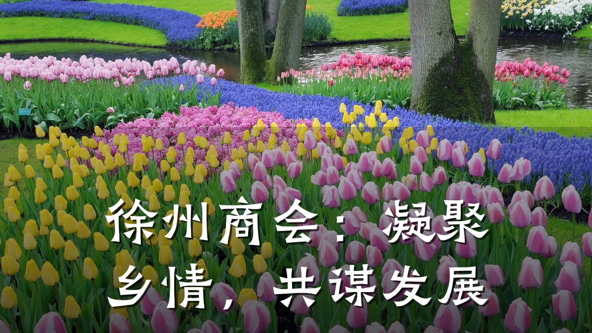 徐州商会:凝聚乡情,共谋发展