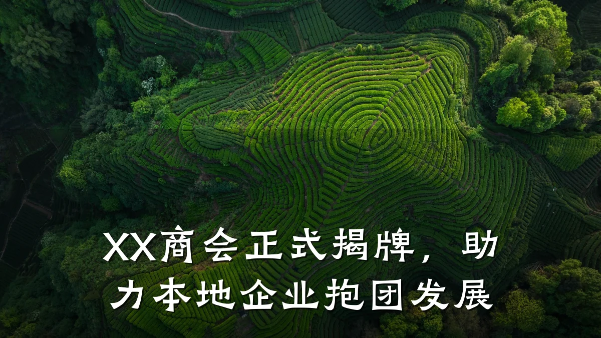 XX商会正式揭牌,助力本地企业抱团发展