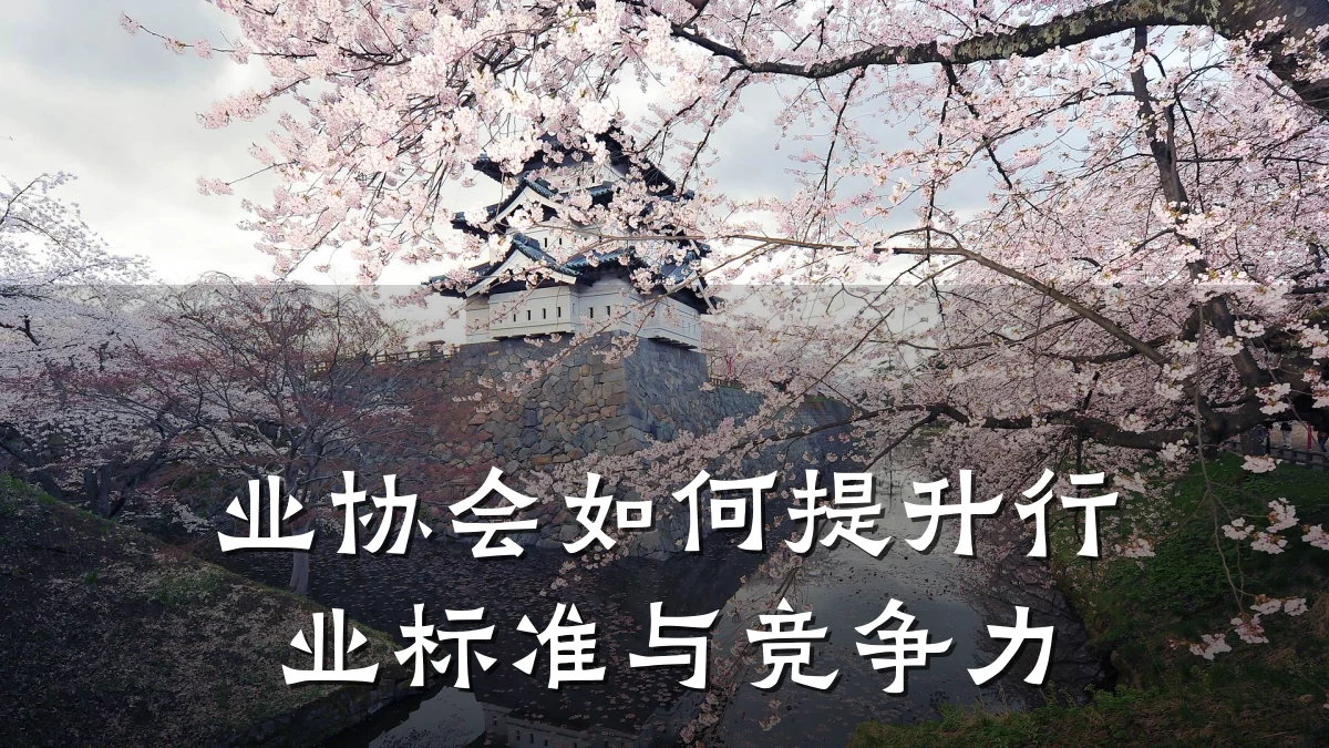业协会如何提升行业标准与竞争力