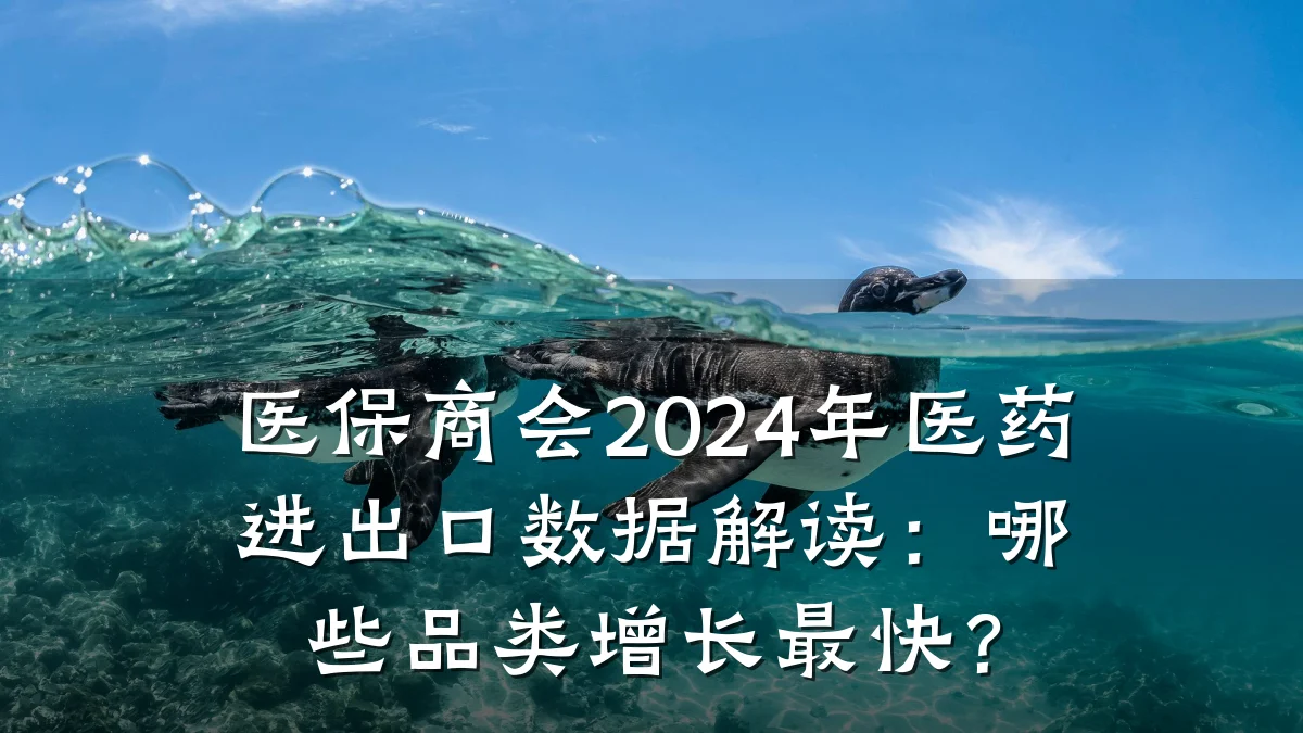 医保商会2024年医药进出口数据解读:哪些品类增长最快?