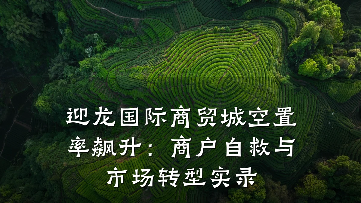 迎龙国际商贸城空置率飙升:商户自救与市场转型实录