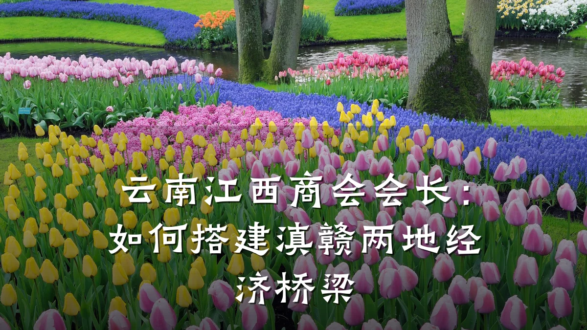 云南江西商会会长:如何搭建滇赣两地经济桥梁