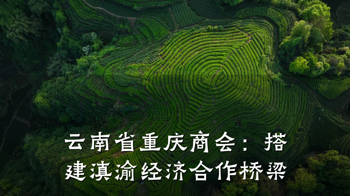 云南省重庆商会：搭建滇渝经济合作桥梁