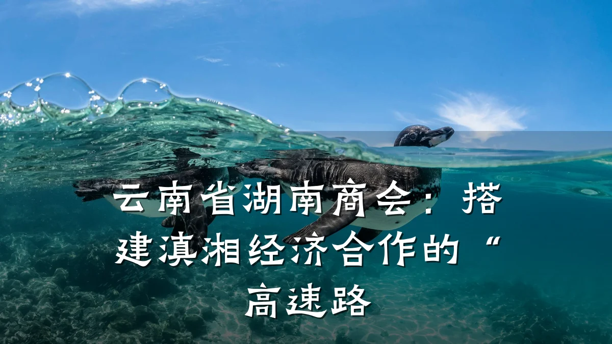 云南省湖南商会：搭建滇湘经济合作的“高速路